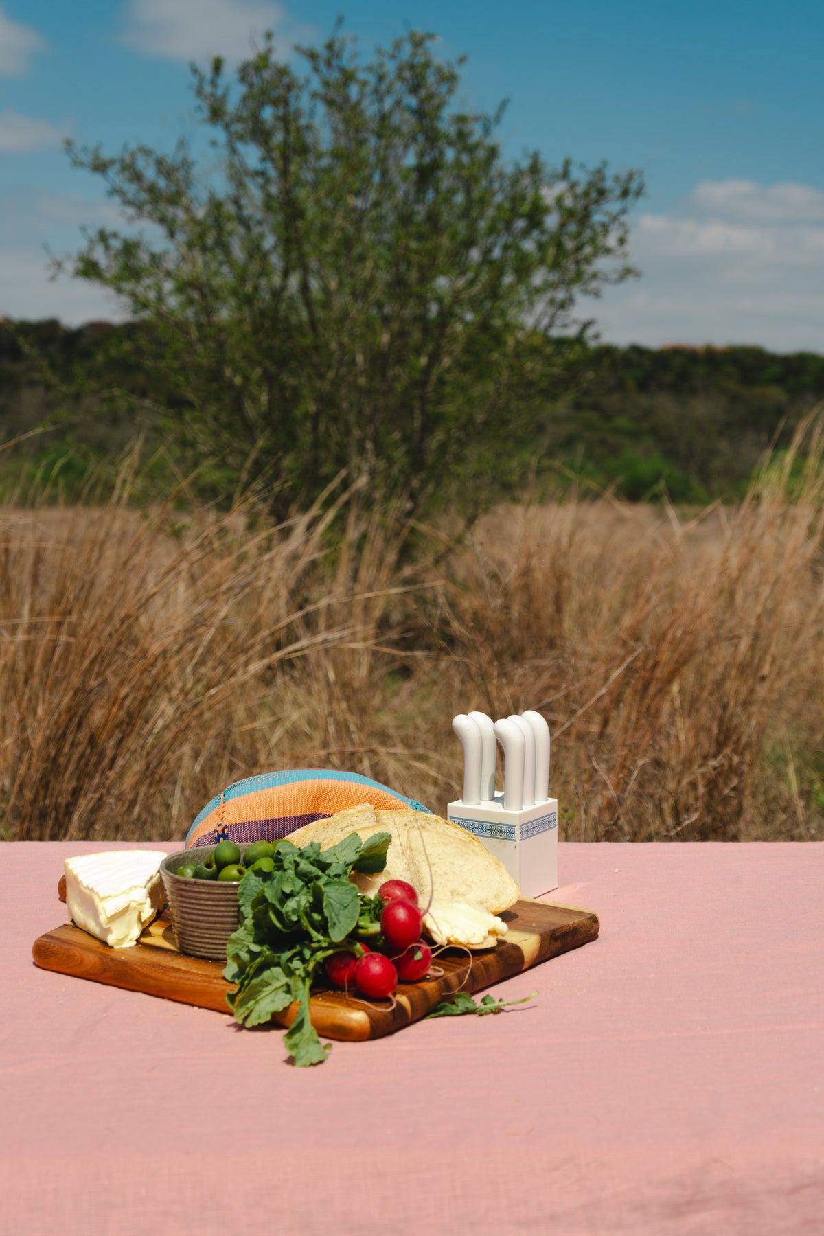 Frankie Pitaya set of four colorful napkins